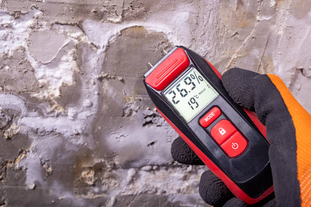Best Commercial Mold Removal  in Lake Holiday, IL