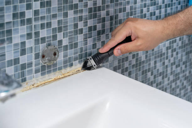 Best Attic Mold Removal  in Lake Holiday, IL